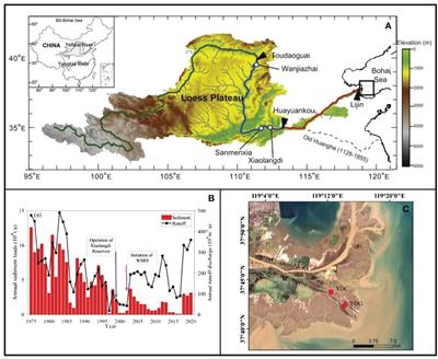 Geochemical characteristics of the modern Yellow River Delta sediments and their response to evolution of the sedimentary environment